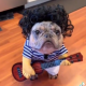 Cute Doggie Costume