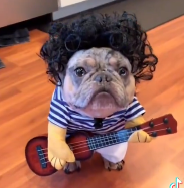 Cute Doggie Costume