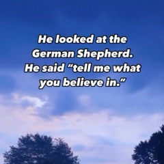 Cats and Dogs in Heaven