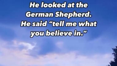 Cats and Dogs in Heaven