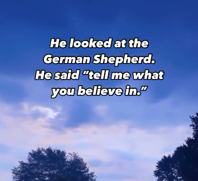 Cats and Dogs in Heaven