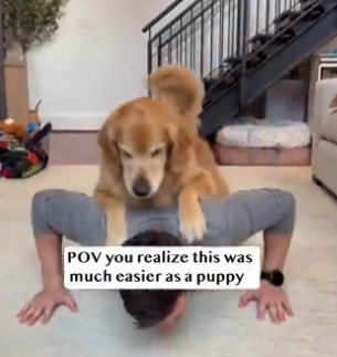 Exercising with dogs easier with puppies