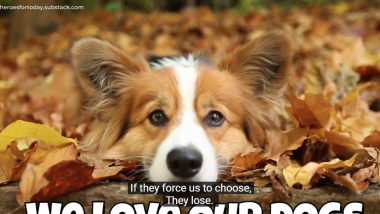 We Love Our Dogs country music song