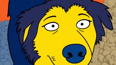 We Love Our Dogs children's song