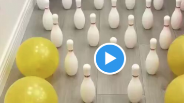 Some Dogs Live The Best Lives